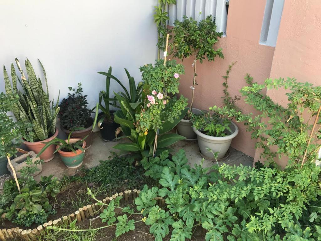 Urbanlife Keetmanshoop Accommodation Екстер'єр фото